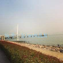 ʶ