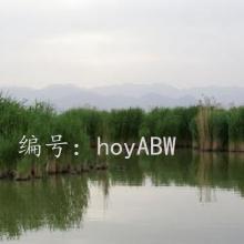 赸