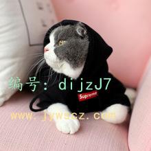 벻