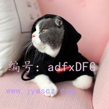 벻