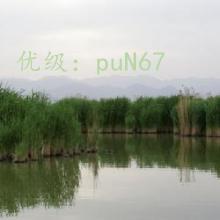 ά