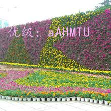 Ȧ