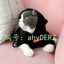 벻