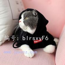 벻