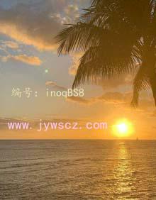 赸