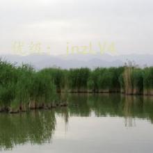 ʱ