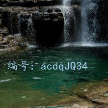 ḻ